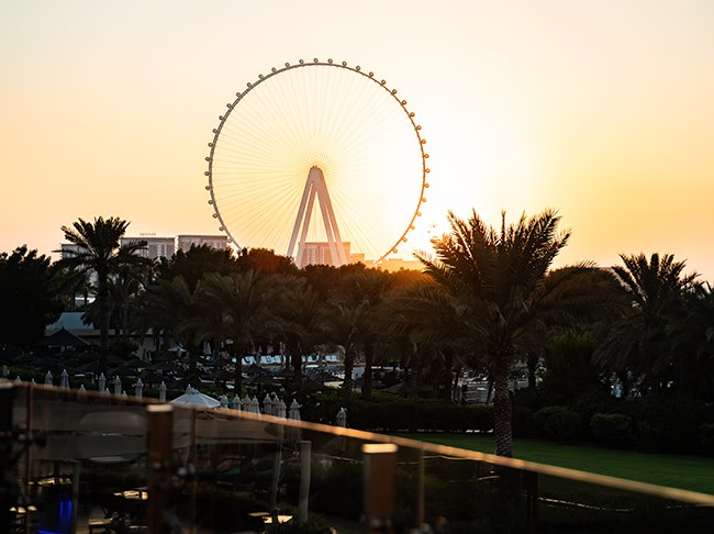 Zengo by Chef Richard Sandoval